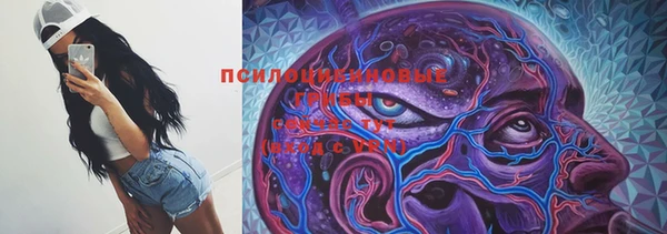 каннабис Арсеньев